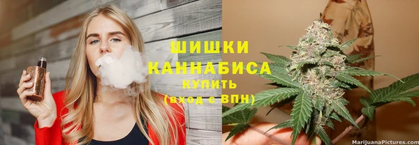 СК Богородск