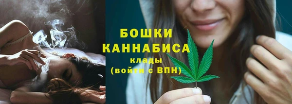 СК Богородск