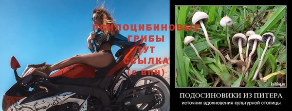 бошки Богданович