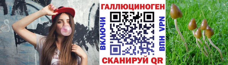 магазин продажи наркотиков  Ковдор  Галлюциногенные грибы MAGIC MUSHROOMS 